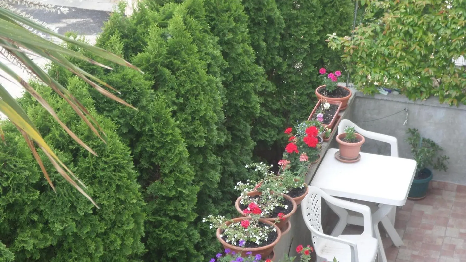 Ruhiges Appartement Mit Terrasse In Strandnaehe Zadar 0*,